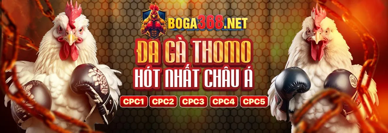 Blog cro88 win 2026 - Cập nhật tin tức và chiến lược cá cược